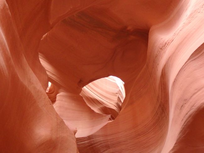 上からの光がきれいです。