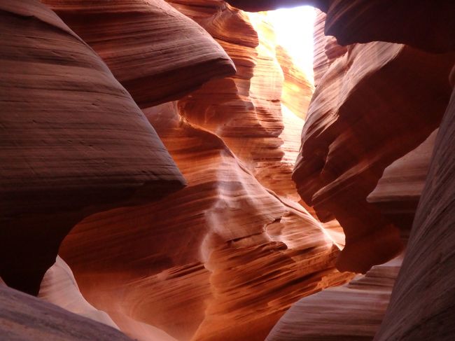 誰でもがカメラマンになれる、世界に一つしかない写真。