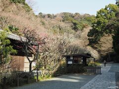 瑞泉寺の入り口

鎌倉の花の寺の一つとして知られる瑞泉寺。
梅を期待して来たのですが、やはりちょっと遅かったようです。