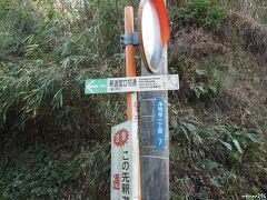 釈迦堂口切通　15:15頃

安国論寺へ行きたくて、スマホの道案内に従って歩いてきたのですが、
この先は崖崩れで通行止め（がっくり！）
仕方がないので、いつも歩く道へ戻って行くことにしました。
（この日、歩数計は約2万歩となっていました。）