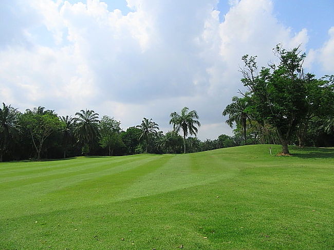 晴れから曇り....雨無しで良かった<br />グリーン費安い割には、良いコース<br /><br />グリーンスピードに悩まされた<br />速い箇所でも、<br />それなりにフォロー取らないと、よれよれ玉になって、ダメでした