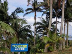 天気も回復してきたので、ヤシ記念館へ