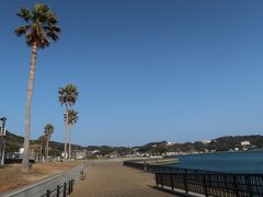 この後、下田港の方に移動して道の駅や、まどが浜海遊公園にある坂本龍馬像を見たりする予定でした。

…が、歩いてたら息子が私の前にまわりこんで「だっこ」と。
抱っこすると、すーっと寝てしまいました。
今日は早起きだったから眠くなってしまったようです。