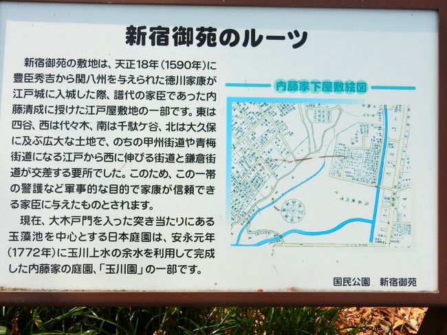 春をさがしに 新宿御苑 さんぽ 18 新宿 東京 の旅行記 ブログ By 旅姿さん フォートラベル 春をさがしに 新宿御苑 さんぽ 18 新宿 東京 の旅行記 ブログ By 旅姿さん フォートラベル