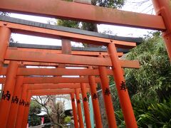 その後、外国人がたくさんいた花園稲荷神社の鳥居を通り抜け…