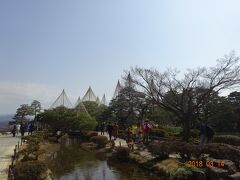 今年は、兼六園内の雪つりが大いに役に立ったことでしょう