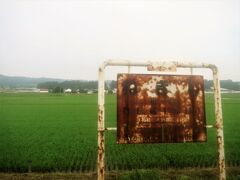 6:24　根岸駅に着きました。（会津若松駅から24分）

駅は水田に囲まれています。
錆びた駅名標と育ち始めの稲とのコラボが良い感じですね～