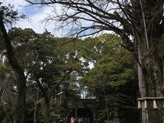 赤坂氷川神社