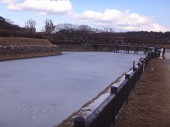 北海道・函館市「五稜郭公園」のお堀の周りの池の写真。

あまりの寒さで凍っています。

星型城郭「五稜郭跡」は国の特別史跡に指定されている。
戊辰戦争最後の戦い、箱館戦争の舞台となった。春は桜の名所、
冬は堀がライトアップされる。復元された箱館奉行所も見もの。

ここまでの旅行記はこちら↓

<JALのクラスJで行く函館 ① 「TripAdvisor」の「朝食のおいしい
ホテルランキング2017」で北海道第1位の『ラビスタ函館ベイ』の
朝食を目当てに函館へ★ 蟹・いくら・うに『函館朝市どんぶり横丁市場』
の人気店を色々ご紹介！ リノベーションカフェが多い函館で見つけた
モダンな【Cafe & Deli MARUSEN（カフェ＆デリ マルセン）】で
フレンチトーストを♪>

https://4travel.jp/travelogue/11229118

<② 函館ベイエリアにあるグルメスポット 『函館ベイ美食倶楽部』、
『はこだて明治館』、『硝子明治館』、『テディベアミュージアム』、
『金森赤レンガ倉庫』、『函館オルゴール堂』、
カフェ【パティスリー プティ・メルヴィーユ】BAYはこだて店＆
【函館洋菓子 スナッフルス】金森洋物館店、異国情緒溢れる
ビアホールレストラン【函館ビヤホール】>

https://4travel.jp/travelogue/11315746

<③ 『ラビスタ函館ベイ』宿泊記（１）函館山＆赤レンガ倉庫群が
広がるベイエリアビューの「デラックスツイン」、
最上階にある天然温泉の源泉かけ流しの展望大浴場「海峡の湯」の眺望
＆函館の夜景を眺めながら楽しめる6種類の湯船でほっこり、
アイスキャンディー食べ放題 (*´ω`*)>

https://4travel.jp/travelogue/11316919

<④ 『ラビスタ函館ベイ』宿泊記（２）『函館山ロープウェイ』の
割引券&料金は？ 路面電車（市電）とバスはどちらが便利？！ 
お得なシャトルバスも登場！ 
大混雑を避け「函館山」から夜景を鑑賞、「函館山展望台」で
重要ポイントをご紹介！ ! 【麺厨房あじさい 紅店
（函館ベイ美食倶楽部店）】＆【味処 きくよ食堂】ベイエリア店>

https://4travel.jp/travelogue/11329618

<⑤ 『ラビスタ函館ベイ』宿泊記（３） 名物いくらなど海の幸全部のせ
も自由に作れる海鮮丼付き朝食ブッフェ！ 元町散策「基坂」にある
パブリックアート、バラが咲き誇る「洋式庭園」を持つ
『函館市旧イギリス領事館（開港記念館）』の見学、
ティーポット＆ティーカップが可愛いティールーム
【ヴィクトリアンローズ】でアフタヌーンティーセットを
いただきます♪>

https://4travel.jp/travelogue/11331469

<⑥ 『旧函館区公会堂』の「ハイカラ衣装館」で変身フォト★ 
通称チャンミンの坂？で有名な元町エリアの坂巡り♪ 
異人館巡り的な気分になれる函館の観光名所、『函館ハリストス正教会』、
『函館聖ヨハネ教会』、『カトリック函館元町教会』、
【五島軒 本店 レストラン雪河亭】、函館の路面電車に乗車>

https://4travel.jp/travelogue/11338228

<⑦ JR「函館」駅から五稜郭タワー・トラピスチヌシャトルバスで
上湯川町へ★ 『函館ひかりの屋台 大門横丁』、
ラーメン【滋養軒】で激うま塩ラーメン！
 『天使の聖母 トラピスチヌ修道院』でしか買えない貴重なスイーツ、
『五稜郭』へ、カフェのある【六花亭】五稜郭店>

https://4travel.jp/travelogue/11339040