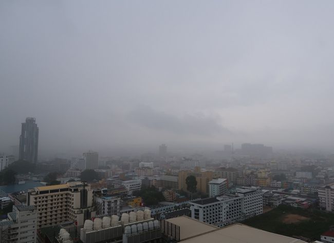 30分ほど雨が降ったでしょうか逃げ足も速い雨でした。