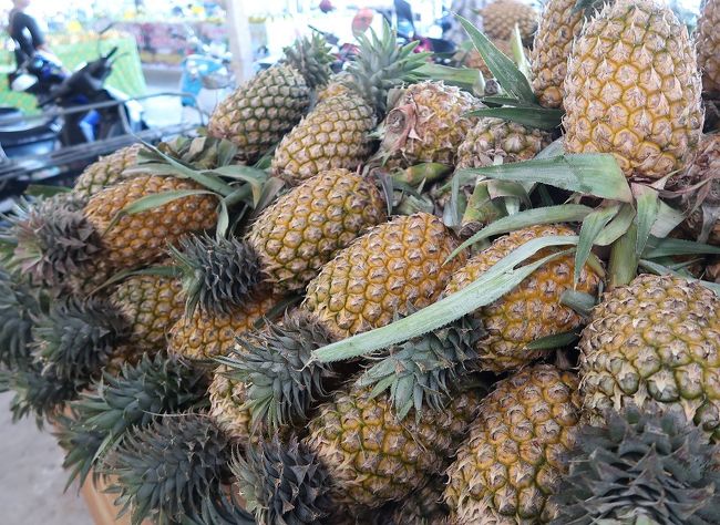 パイナップル（サッパロット）はまだ安値が続いています　1玉　25B≒85円　<br />お買い上げ～