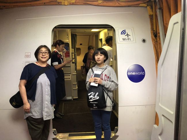 毎度お世話になります。日本の翼JAL、やっぱり安心して乗れます。