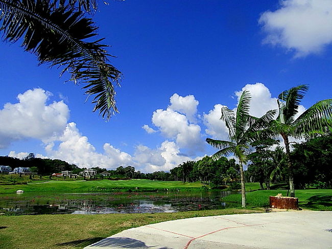 No.1ホールは約１０５ヤードの池越えです。<br />結構、距離無くても、水に落とす方多し。