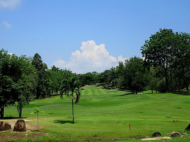 暑くなってきました。