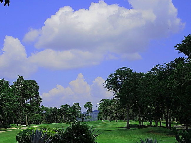 何やっても、ダメの日でした。残念...<br />常連キャディさんから、<br />慰めのバナナの差し入れ...食べて、元気出せの意味でした