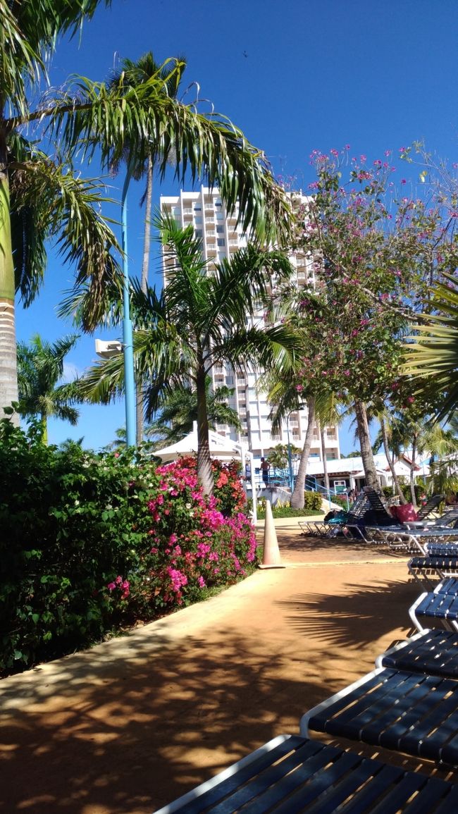 ホテルのウォーターパークです。のんびりするなら、中央のプールバーの近くが良いですが、席取りが厳しい…