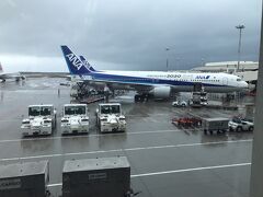本当は那覇空港で２時間くらい待ち時間があったのですが、結局３０分弱となりました。
（石垣行きの便も３０分の遅れ）

ちょうど着陸する時間に低気圧が通過したようで、雨は小降りになっていたものの、空はかなりどんよりしています。

大丈夫かなぁ。。