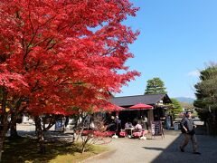 真っ赤に燃ゆる紅葉と空の青のコントラスト！
紅葉の時期に行ってよかった(∩´∀｀)∩ﾜｰｲ
って思っていたけど、ちょっと行くのが遅かったことが後々分かります( ºωº )ﾁｰﾝ…