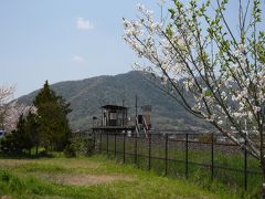 まきびさくら公園 ストア ペット