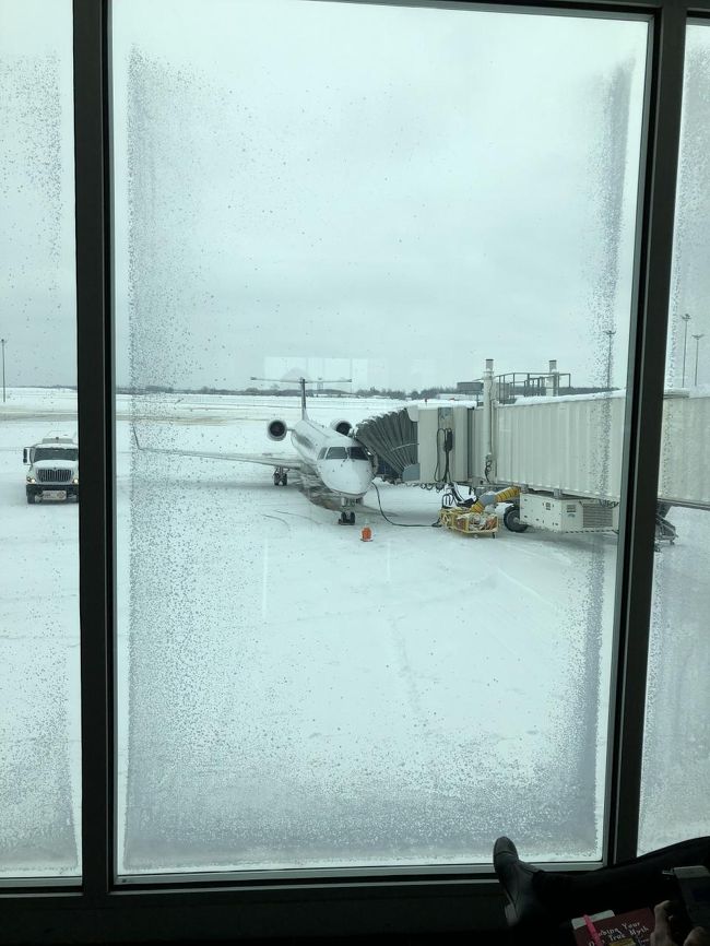 翌週、大雪の日にテネシー出張。GRRグランドラピッツ（ジェラルドフォード国際空港）までざっくり1H