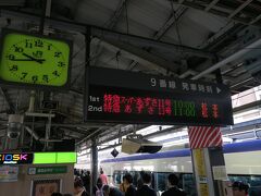 回数券（バラ）を購入して指定券券売機で座席を指定してから新宿駅に移動していきました。
ちなみにこの日のE351系は松本からの上りに充当されていました。