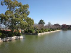 桑名城跡の本丸跡とノニ丸跡を利用した「九華公園」、
１０万石として栄えたご城下ですからね、立派な堀と城跡です。

とても長閑でゆったりとした良い公園ですね！～、
今日は小春日和のようなポカポカ陽気です。