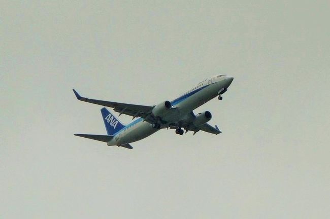 大満足のランチからドライブ再開。<br />石垣島をドライブしていると、離着陸する飛行機がよく頭上を通過していきます。結構高度が低いので迫力あり。