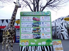 宇都宮→高崎泊まり

翌日は、、「群馬サファリパーーク」
マイカーにしようか・・・バス？
よし！レインジャーツアーで豪華に行こうぜ～