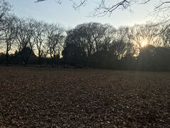 赤塚城址公園にやってきました。