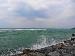 ざっぱーん！！
波が高いです。
これはホエールウォッチングも中止になるよ。
こんな高波だったら気分悪くなっちゃう。