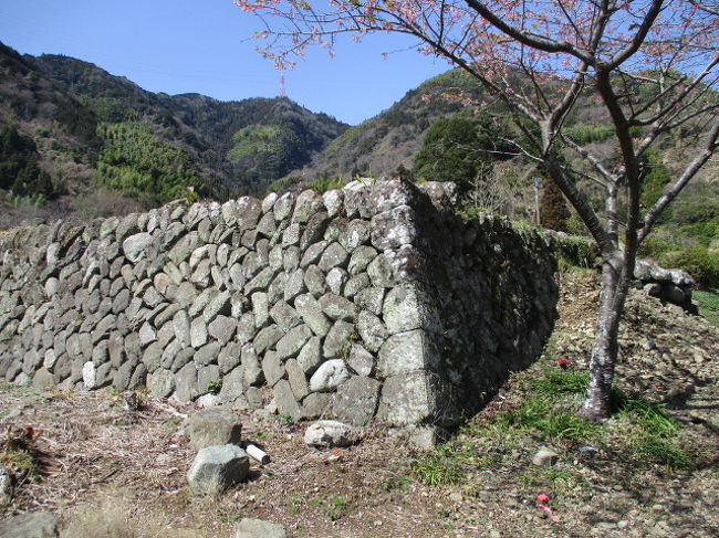 駿河興津 甲州道を一望する要衛地に幕閣を勤めた滝脇松平氏が１万石を以て十代１６３年に亘り知行した石垣小城郭小島陣屋訪問 清水 静岡県 の旅行記 ブログ By 滝山氏照さん フォートラベル