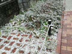 北沢川緑道の雪景色