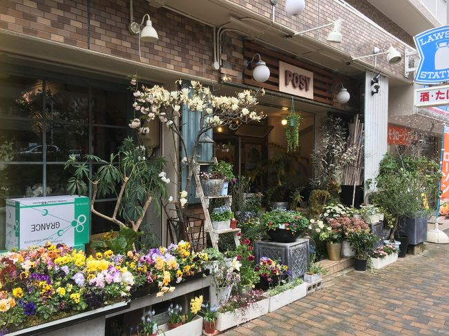 今週も歩きました 金山 鶴舞から大須までテクテク 名古屋 愛知県 の旅行記 ブログ By Keroさん フォートラベル