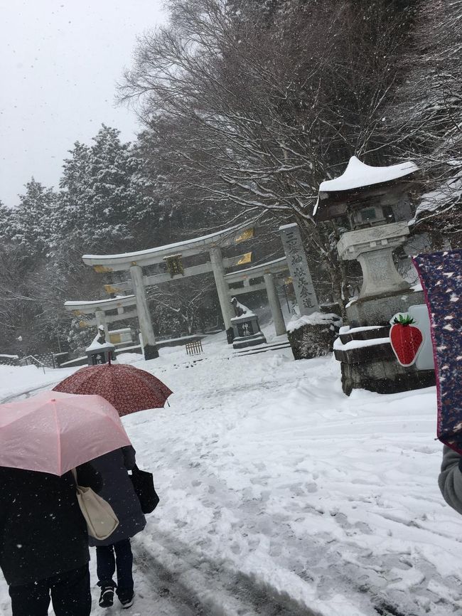まさかの雪の中三峯神社へ はとバスツアー 秩父 埼玉県 の旅行記 ブログ By きえさん フォートラベル