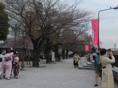 最近増えている　浴衣姿の観光客

桜並木は　まだ寂しい
