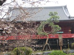 ここの桜が満開になると　
写真のスポットとして　
最高ですよ