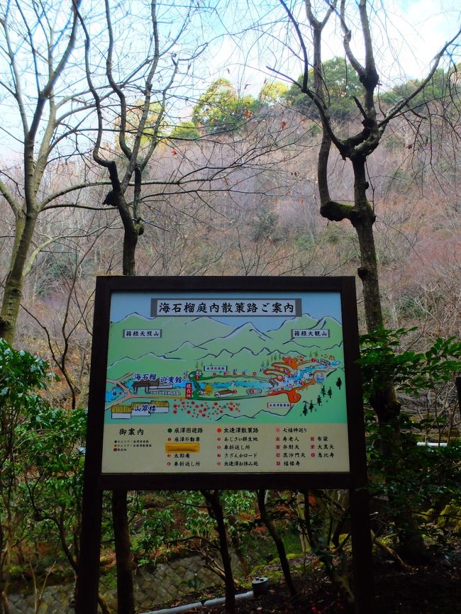 海石榴 つばき へ 晴れの日はたこむすびを買って 湯河原温泉 神奈川県 の旅行記 ブログ By Nomadic Dreamさん フォートラベル