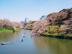 さて。さらに移動して千鳥ヶ淵にやってきました。