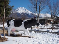 朝霧高原の道の駅。

大きな道の駅で、レストランやお土産さんもあり、スイーツもあり、お子さんも遊べそうです。