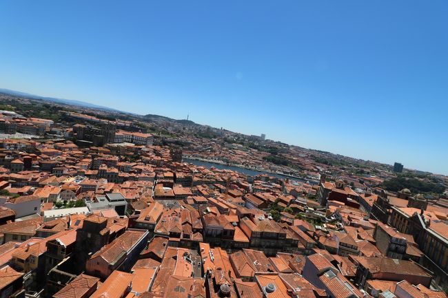 オレンジ色のペルシャ絨毯の様だ(*´∀`)♪