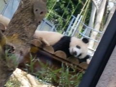 東京都恩賜上野動物園