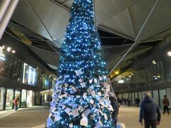 中央駅のクリスマスツリー。