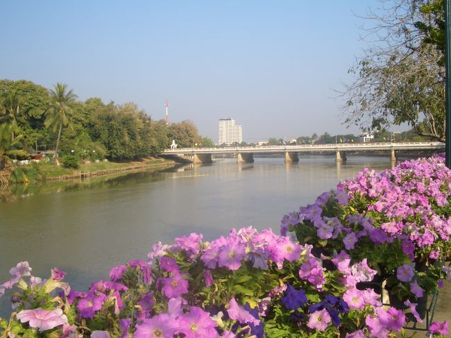 朝のピン川を散歩。