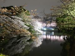 駅から出ると、靖国神社方面へどんどん人が流れていきます。

田安門付近で、まずは撮影開始。

