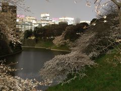 他の場所から戻り、千鳥が淵の夜桜見物。

またもや九段下駅からスタート。

平日午後8時くらいでしたが、武道館へあがる出口はめちゃ混み。

ライブの時以上に混んでいました。