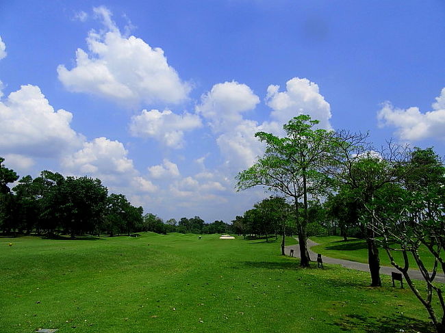 夏ゴルフです...雨無しで良かった<br />ドライバー...ティをヤヤ高めにして、クラブ浮かして打った。<br />これ、何時もより、幾分飛んだ...次回も試したい。