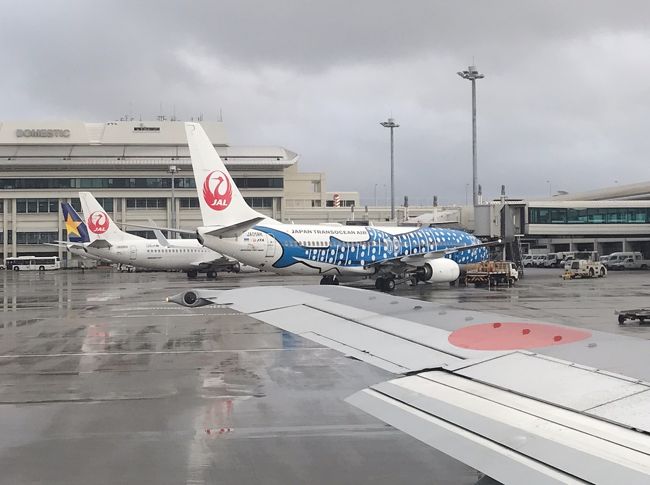 50分遅れの17：10発で石垣行きの便が出発しました。<br />前の便の方々もこの便になったようです。<br /><br />そうは言っても滑走路が混みあっていてなかなかテイクオフしません。<br /><br />のんびりとジンベエジェットと那覇空港を眺めます。