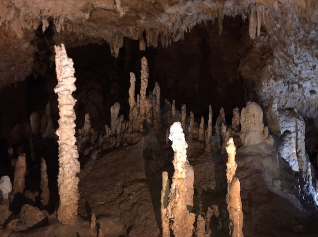食べ終わった人からフリータイムで隣りの鍾乳洞を40分くらい見学します。<br /><br />パンフレットには18：30が閉館と書いてありましたが、<br />ツアーの行程上、延長してくれたのでしょう。<br /><br />飛行機が遅れたので個人だったらこの日は見られないところでした。<br />こういうところがありがたいですね。