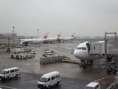 早朝羽田空港に来ました。
強く降っていませんが雨でした。