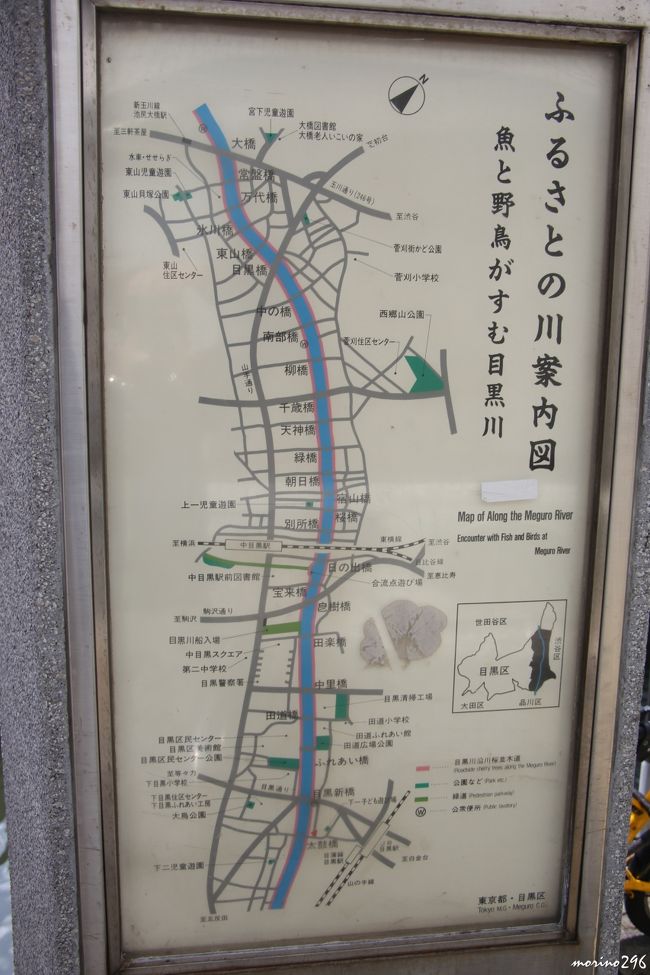 目黒川沿いのお花見 中目黒 祐天寺 東京 の旅行記 ブログ By Morino296さん フォートラベル 目黒川沿いのお花見 中目黒 祐天寺 東京 の旅行記 ブログ By Morino296さん フォートラベル